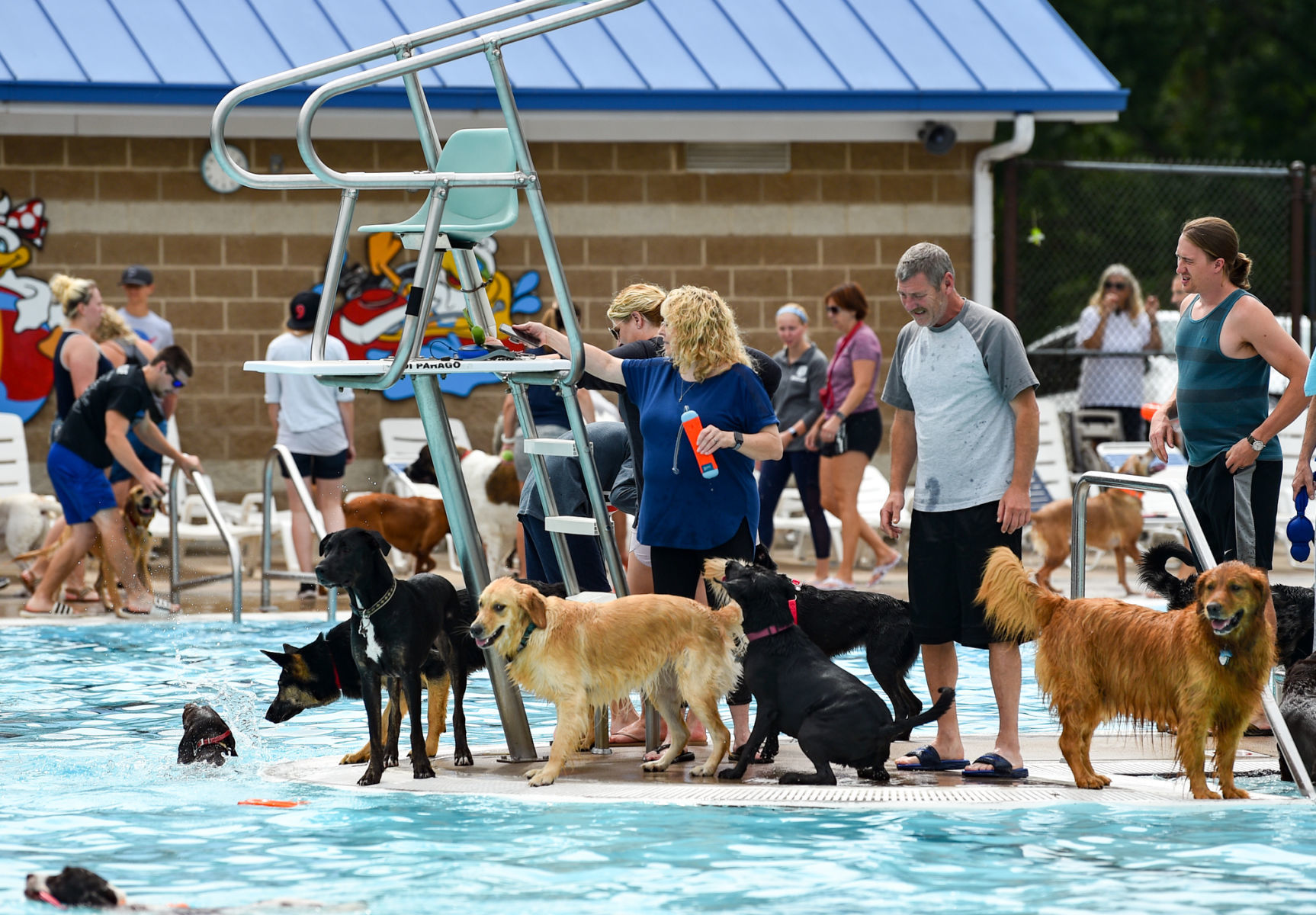 082919-bet-doggysplash-124a.JPG
